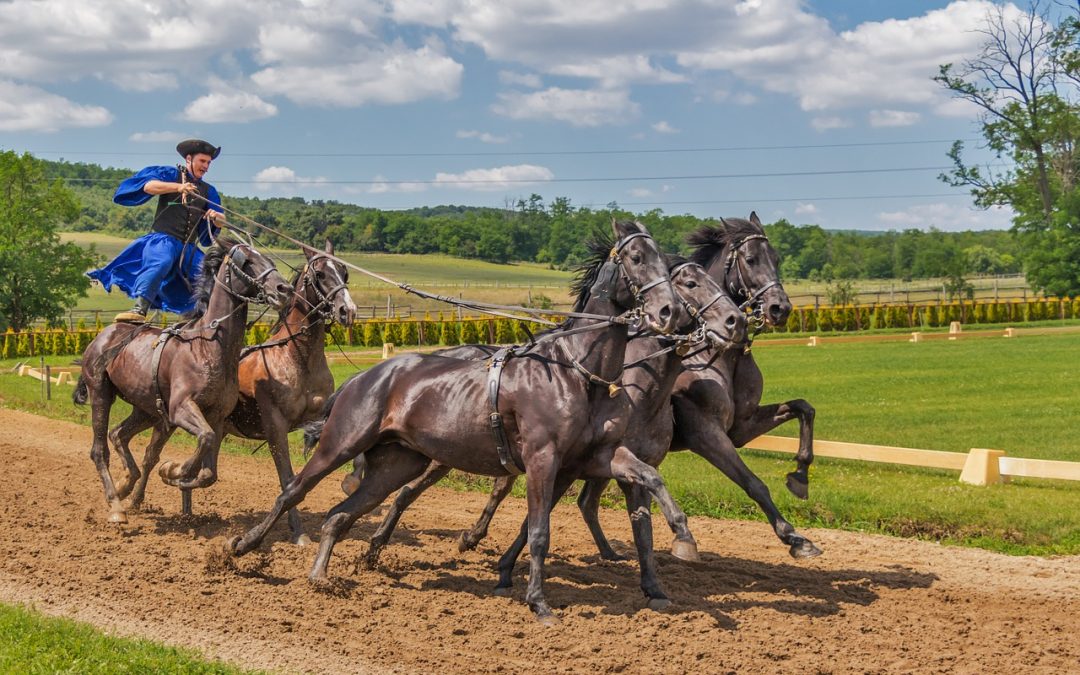 Inzetten op een paardenrace: kan dat?